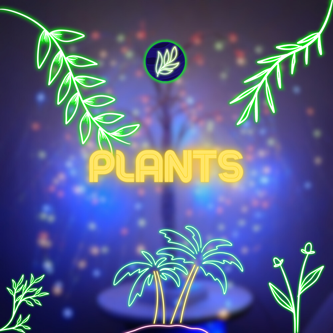 Plants Light X Night