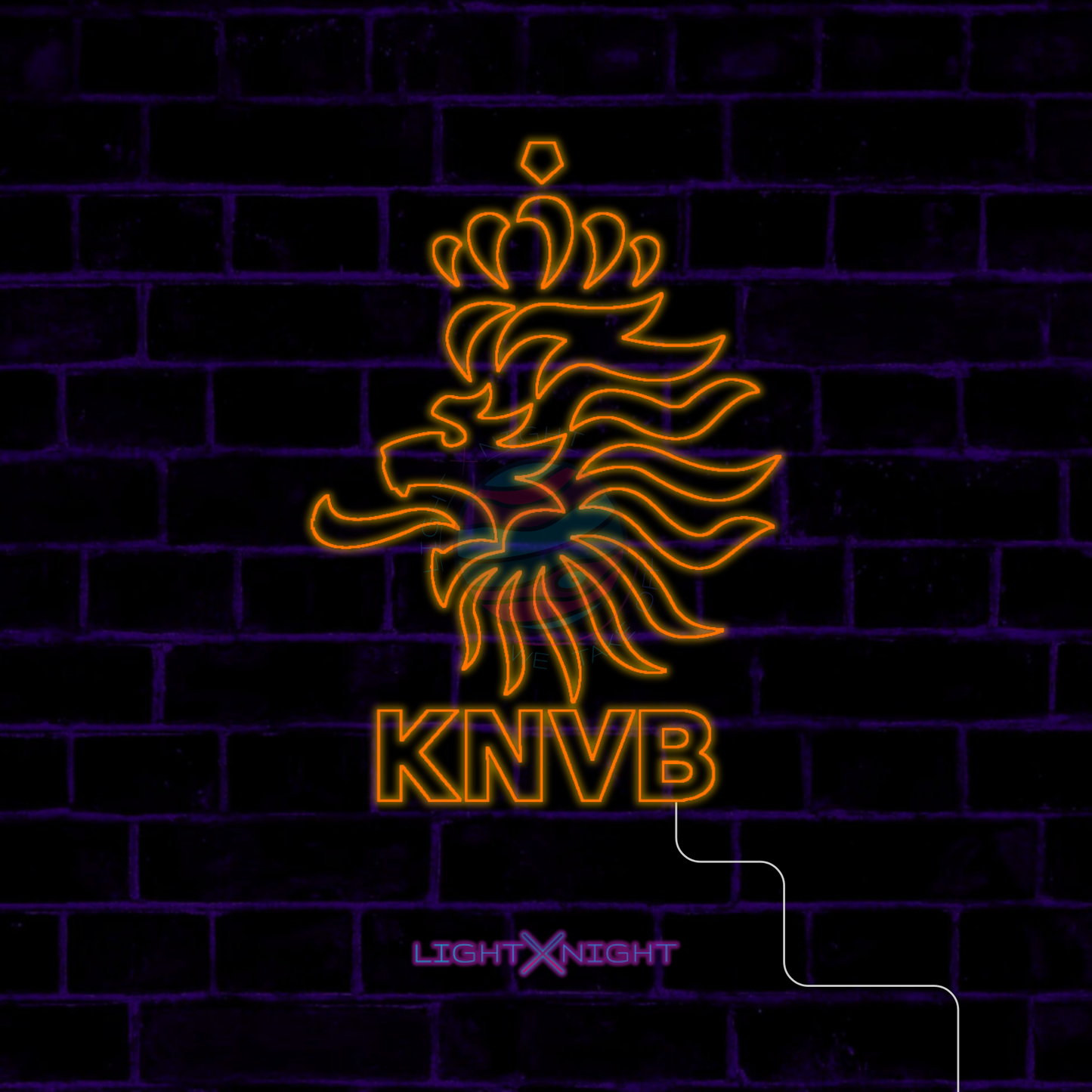 Netherlands National Neon Sign