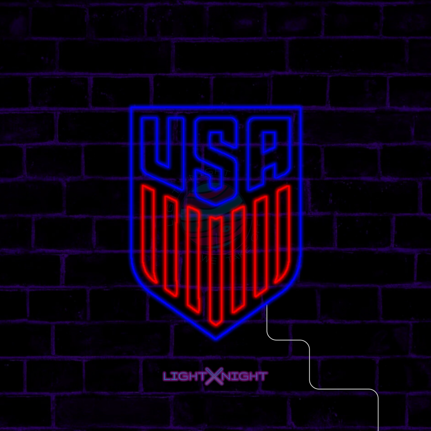 USA National Neon Sign