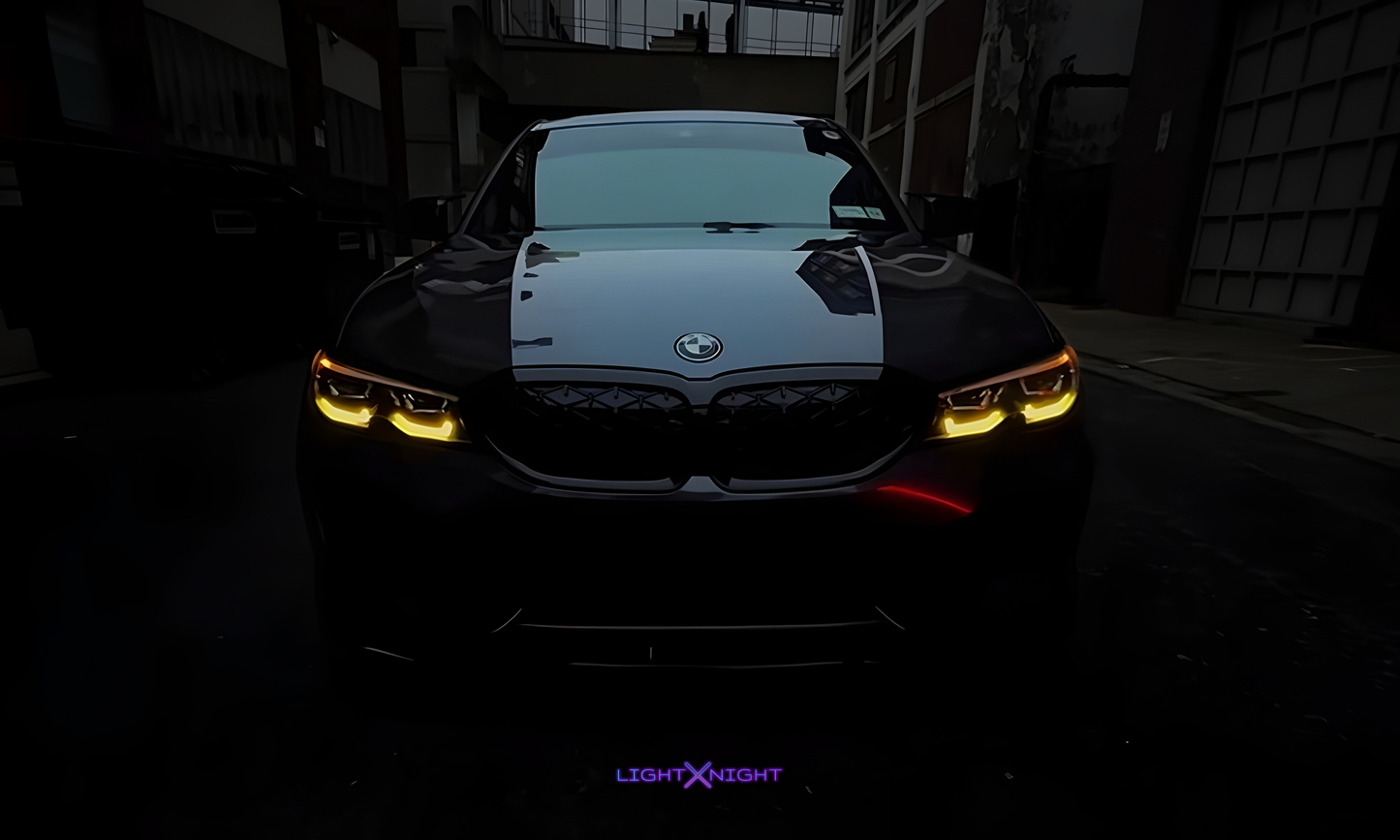 Custom BMM Neon Poster