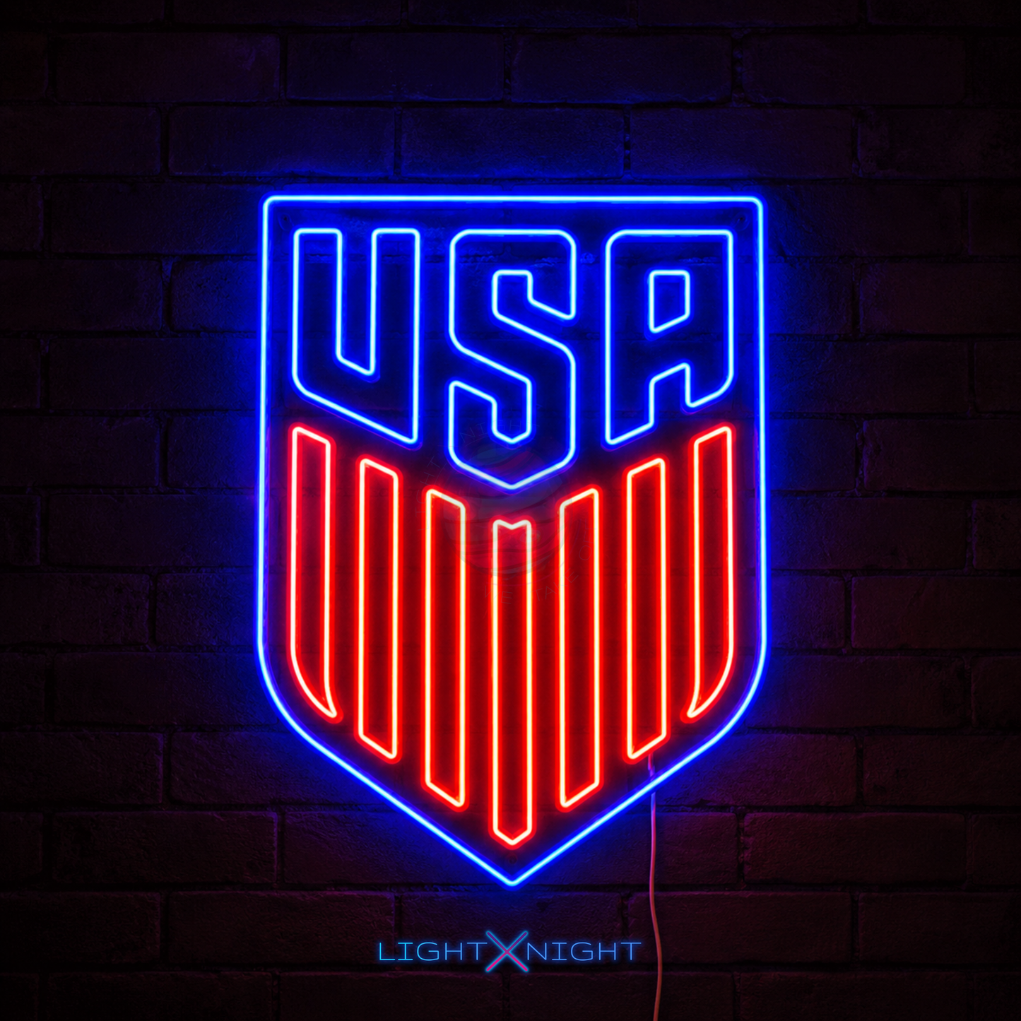 USA National Neon Sign