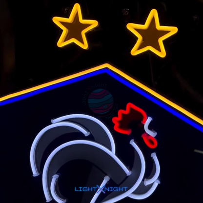 France National Neon Sign