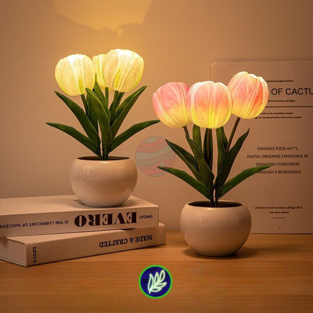 Light X Night® Magic Tulip