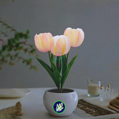 Light X Night® Magic Tulip