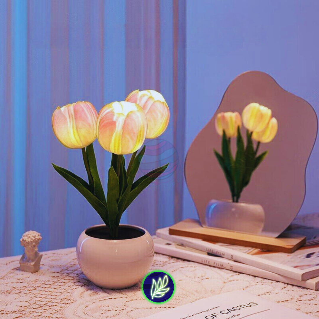 Light X Night® Magic Tulip