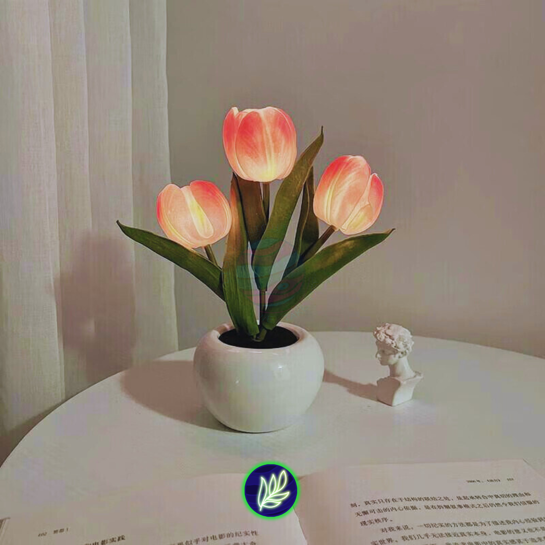 Light X Night® Magic Tulip